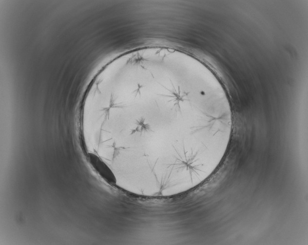 X0000110321048200907021157