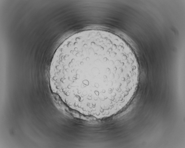 X0000110321049200907021157