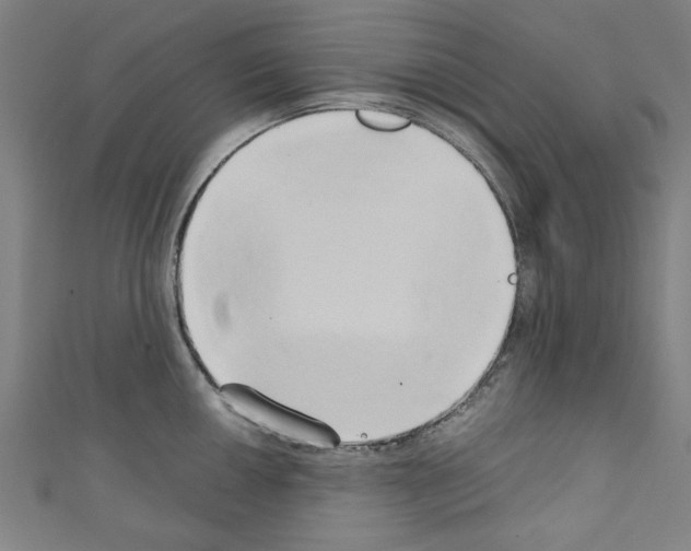 X0000110321050200907021157