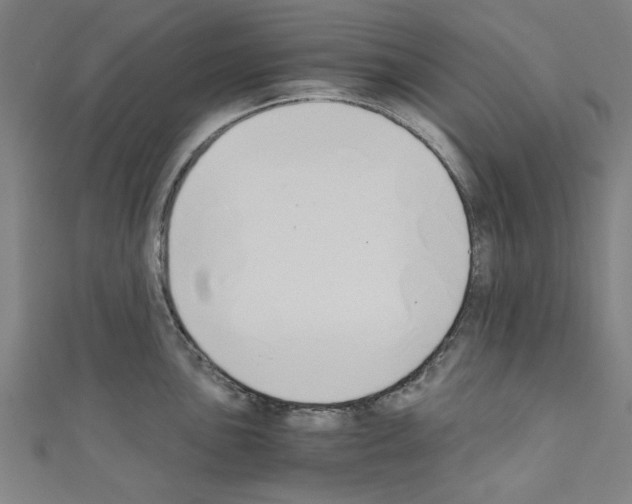 X0000110321051200907021157