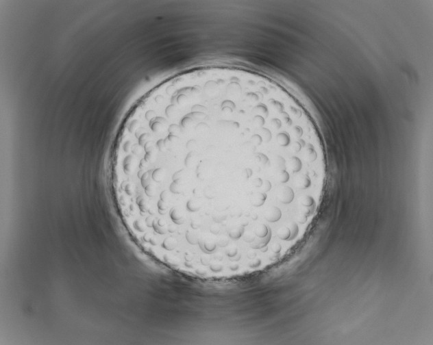 X0000110321053200907021157