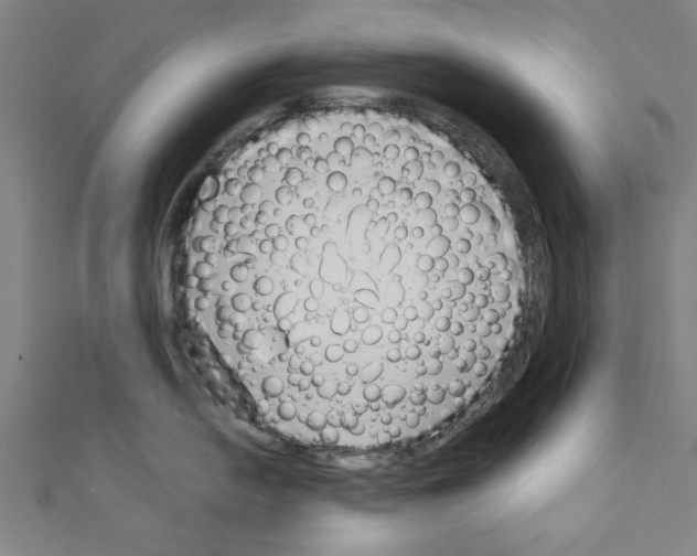 X0000110321054200907021157