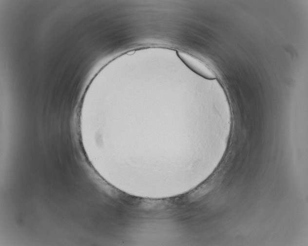 X0000110321056200907021157