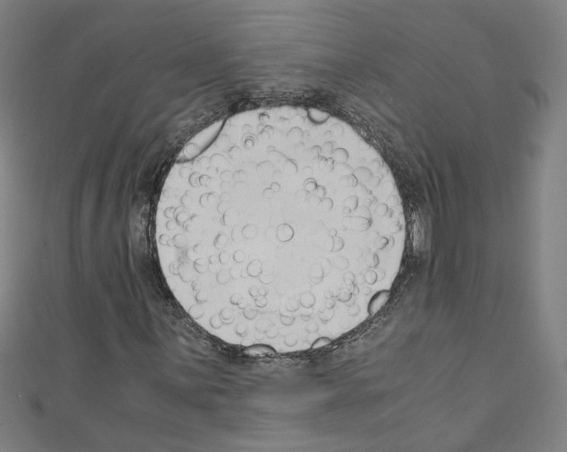 X0000110321059200907021157