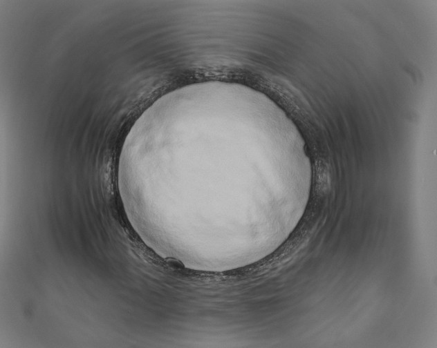 X0000110321060200907021157