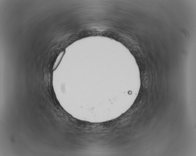 X0000110321061200907021157