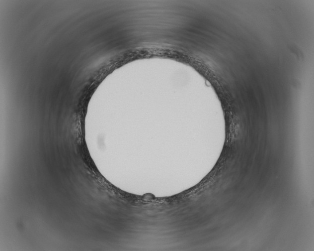 X0000110321062200907021157