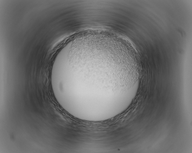 X0000110321064200907021157