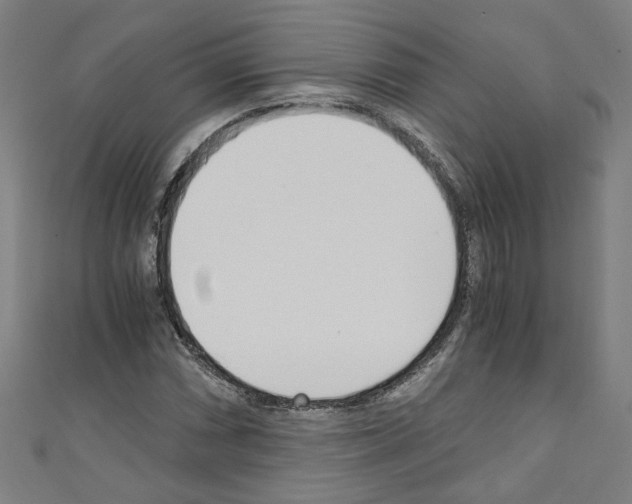 X0000110321066200907021157