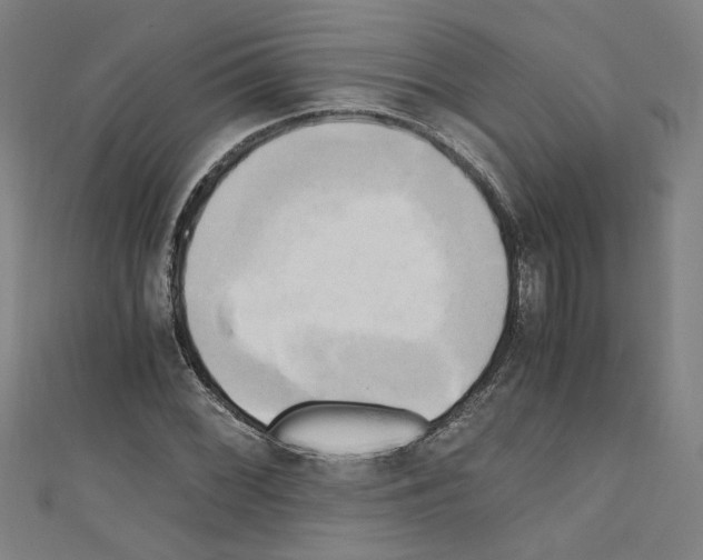 X0000110321068200907021157