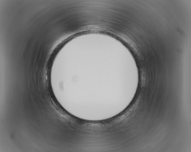 X0000110321070200907021157