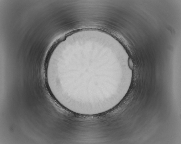 X0000110321072200907021156