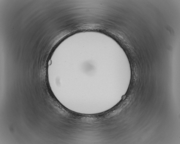 X0000110321073200907021156