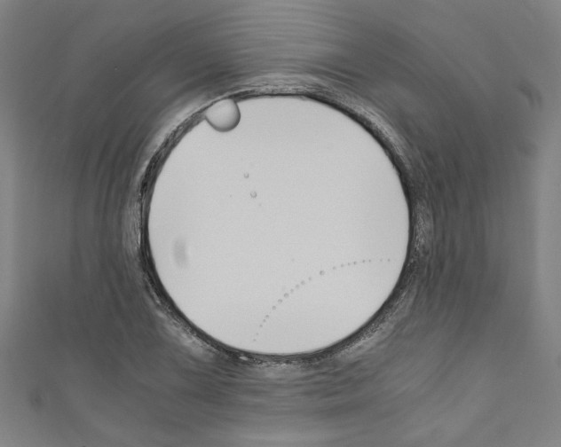 X0000110321075200907021156