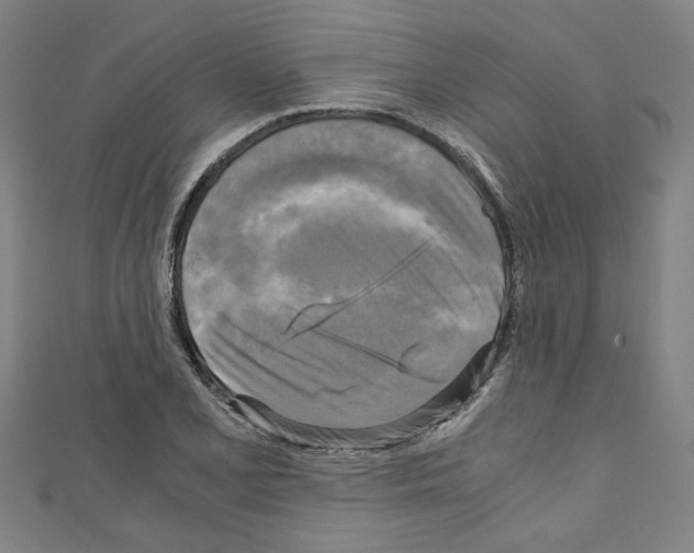 X0000110321077200907021156