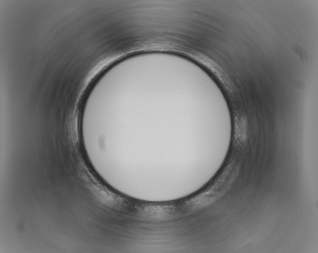 X0000110321078200907021156