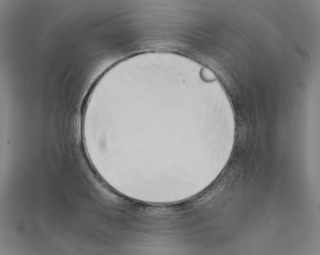 X0000110321079200907021156