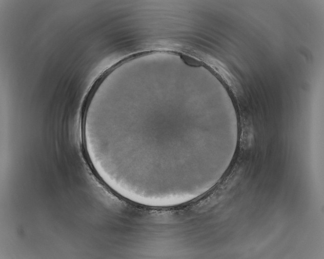 X0000110321080200907021156