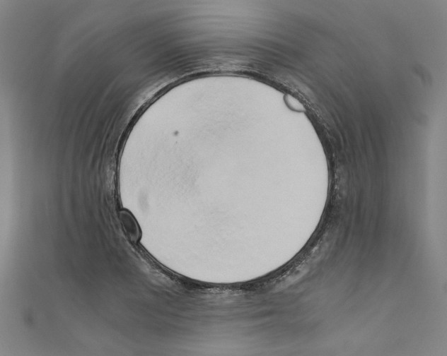 X0000110321081200907021156