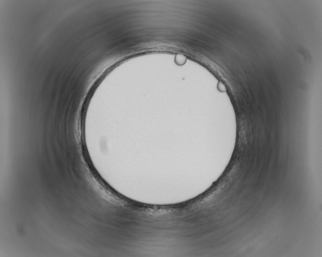 X0000110321082200907021156