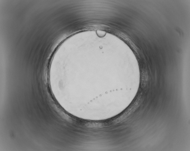 X0000110321083200907021156