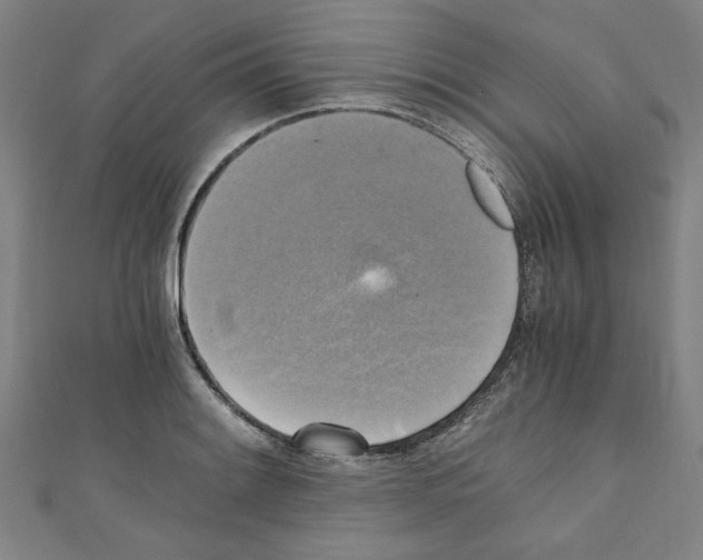 X0000110321084200907021156