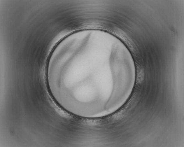 X0000110321086200907021156