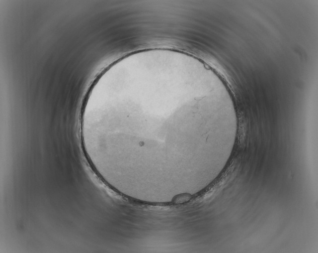 X0000110321088200907021156