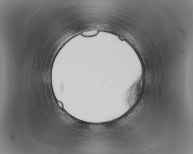 X0000110321089200907021156