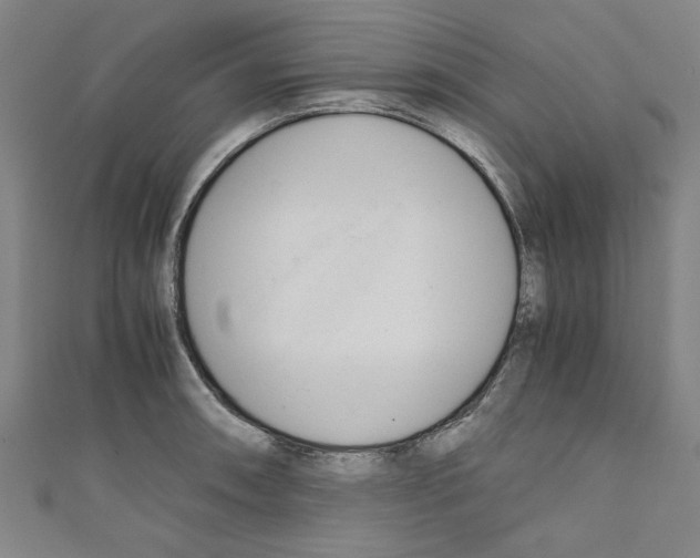 X0000110321090200907021156