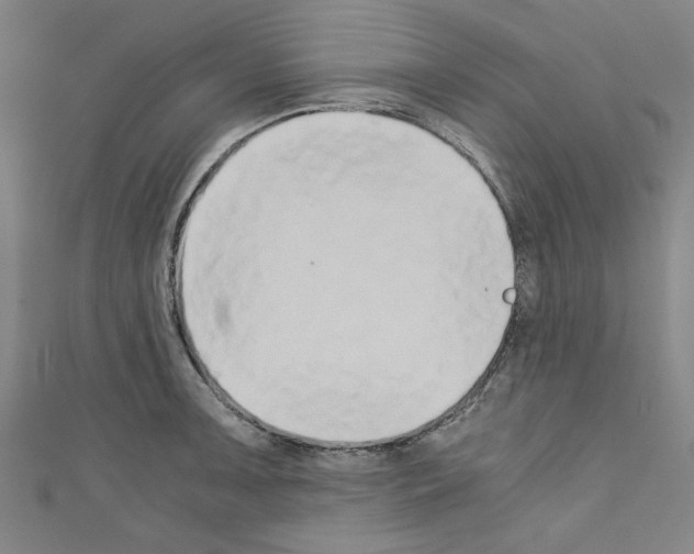 X0000110321091200907021156