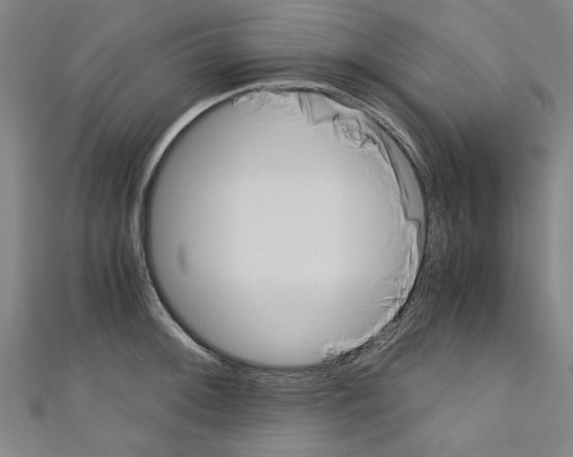 X0000110321092200907021156