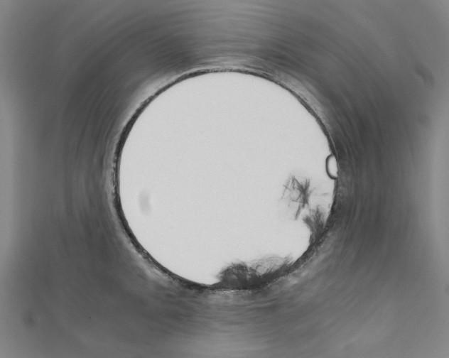 X0000110321093200907021156