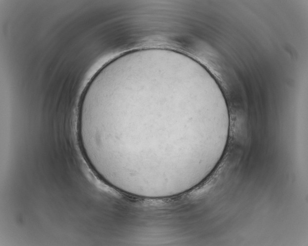 X0000110321094200907021156