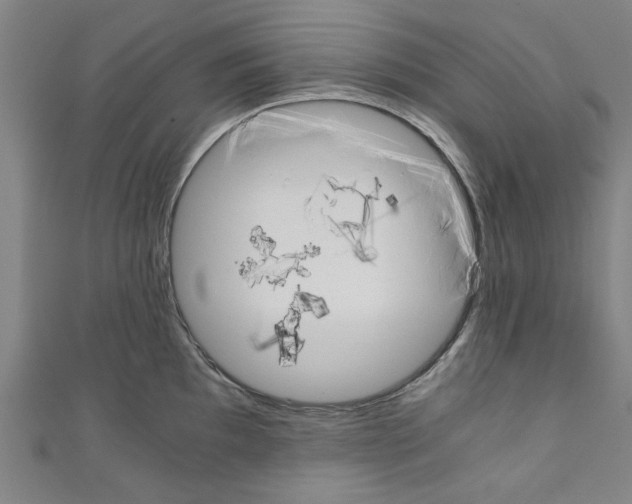 X0000110321097200907021156