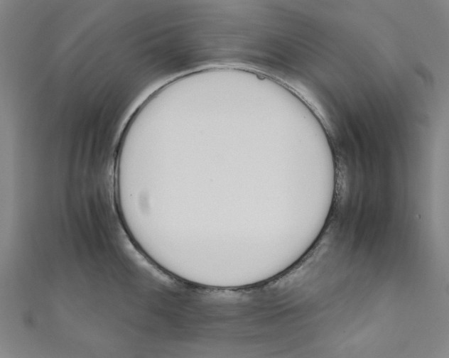 X0000110321100200907021156