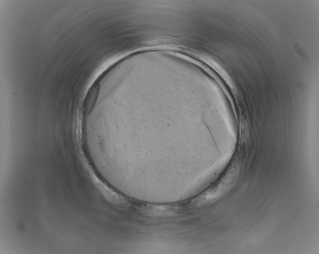 X0000110321101200907021156