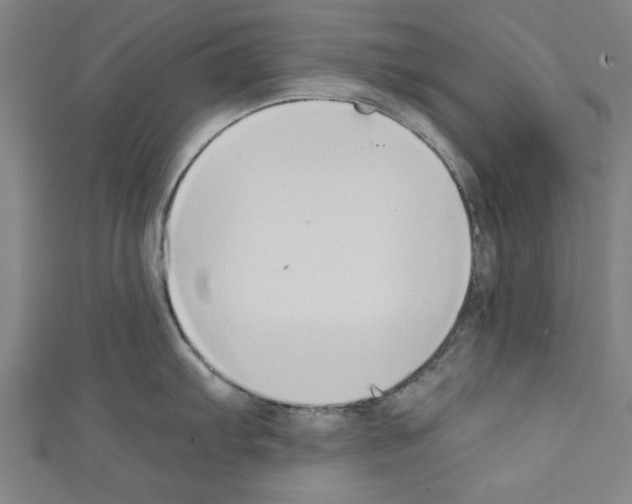 X0000110321103200907021156