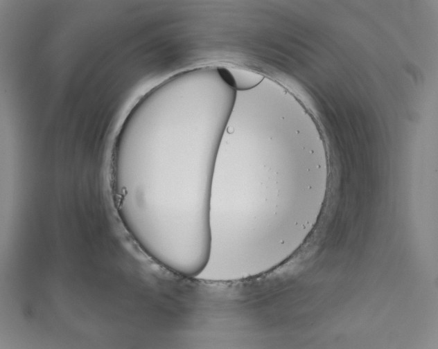 X0000110321104200907021156