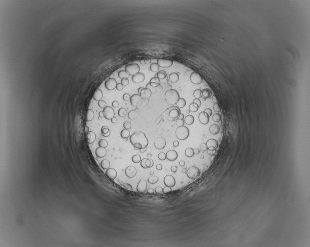 X0000110321106200907021155