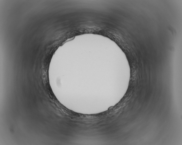 X0000110321109200907021156