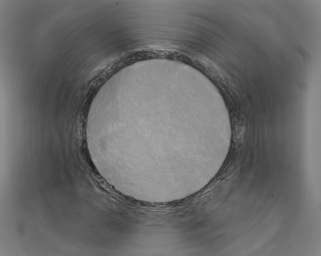 X0000110321110200907021156