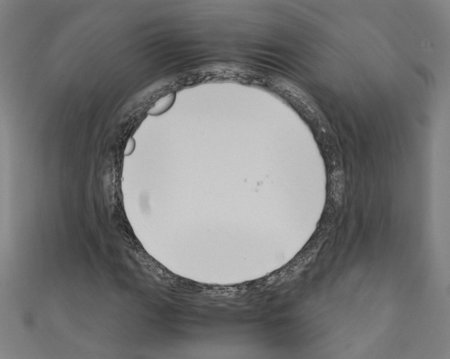 X0000110321111200907021156