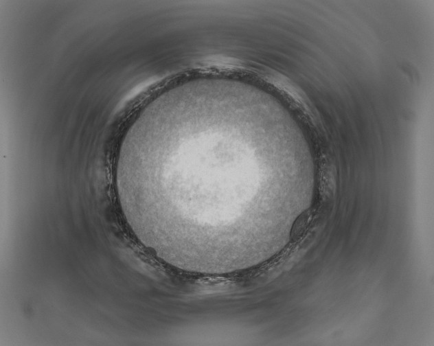 X0000110321112200907021156