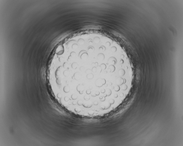 X0000110321113200907021156