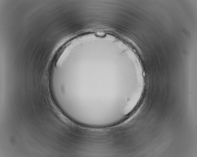 X0000110321114200907021156