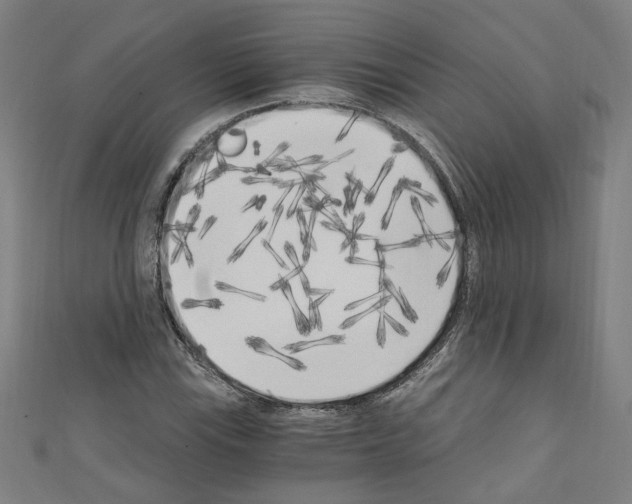 X0000110321115200907021156