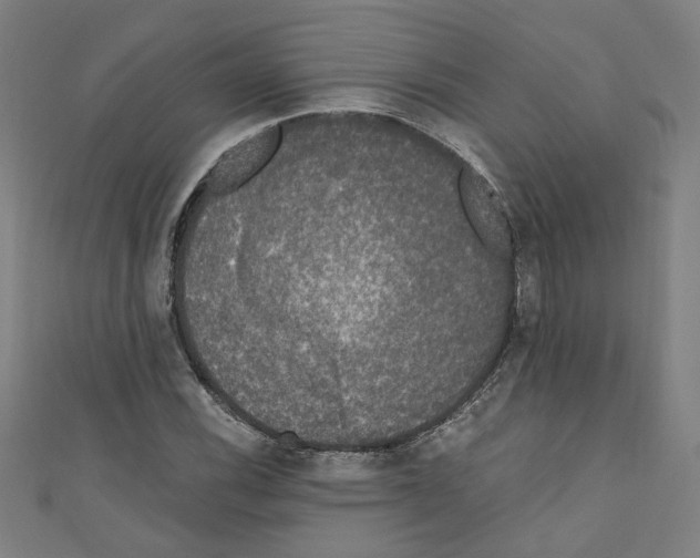 X0000110321116200907021156