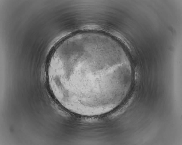 X0000110321117200907021156