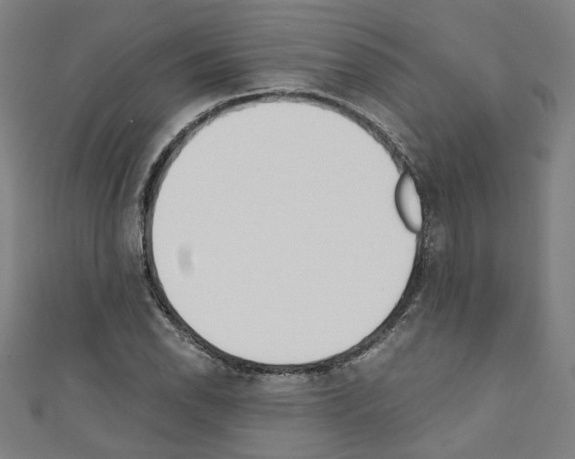 X0000110321118200907021156